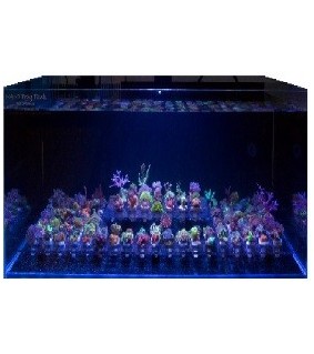 Nano Frag Tank 200